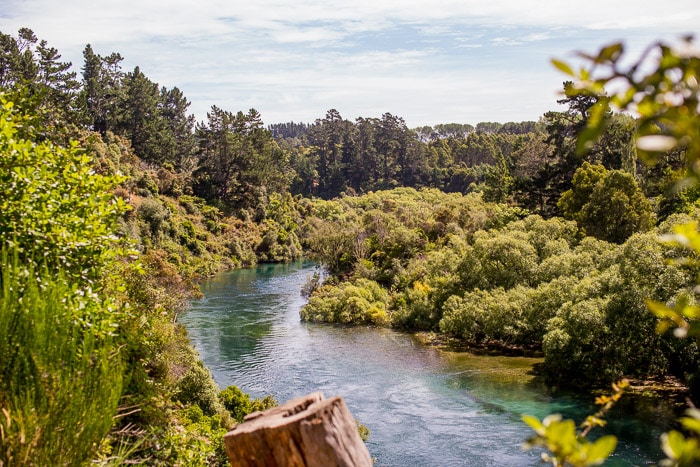 Waikato River, Taupo New Zealand